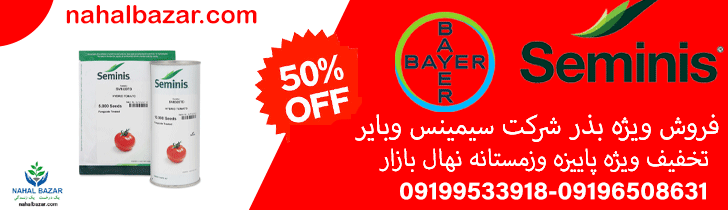بذر شرکت سیمنس بذر گوجه فرنگی