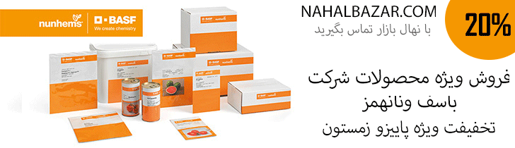 بذر شرکت سیمنس بذر گوجه فرنگی