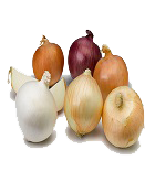 list item image