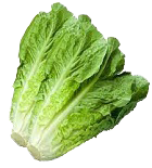 list item image