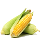 list item image