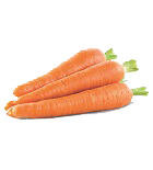 list item image